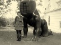 0_3884496_30910.jpg